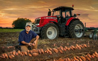 Jones Family Farms: Legacy Sweetpotato Farmers in Bailey, NC